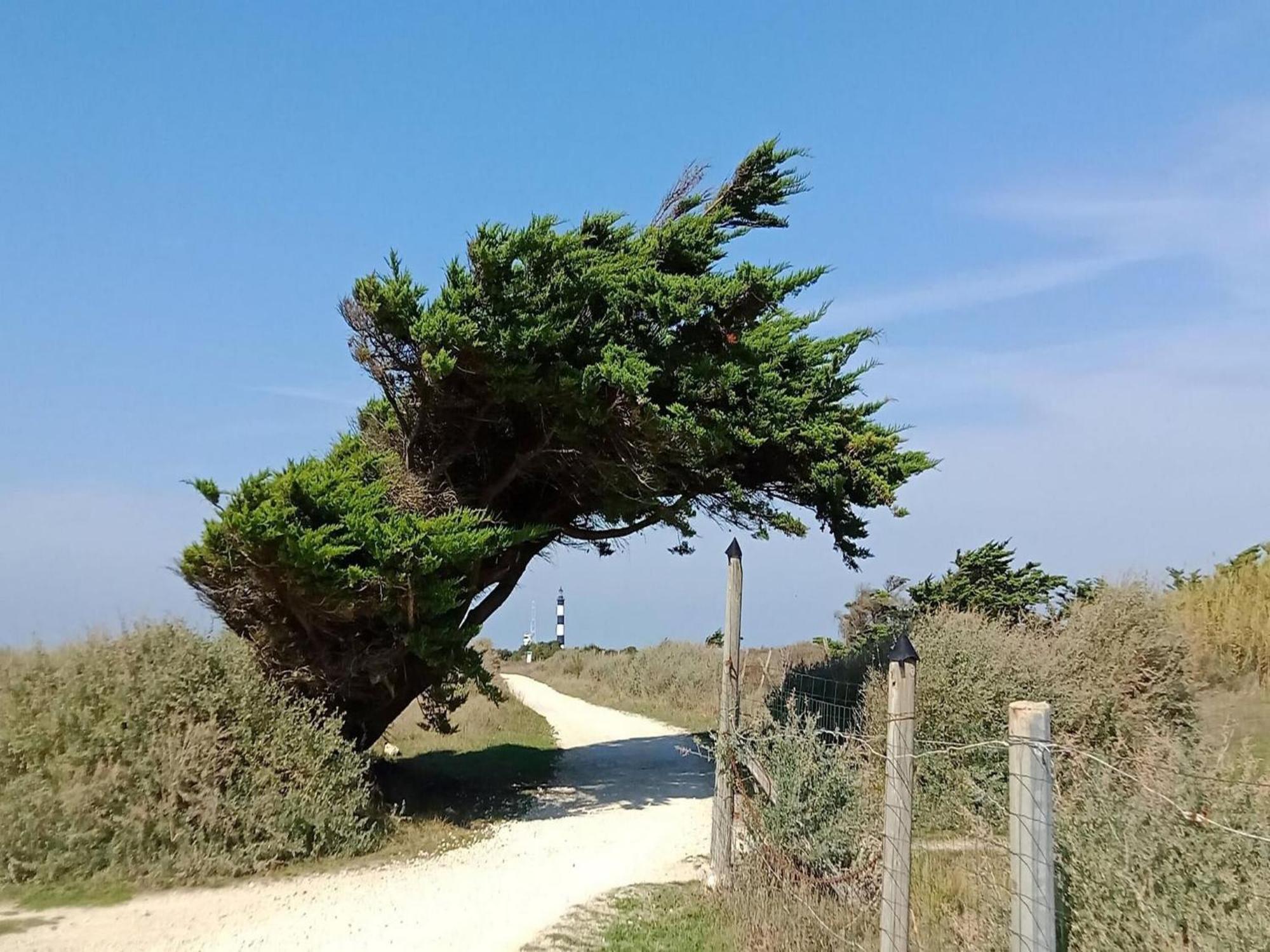Les Hameaux Des Sables Vignie Saint Georges D Ol Ron Holiday Home Not Detached Exterior photo