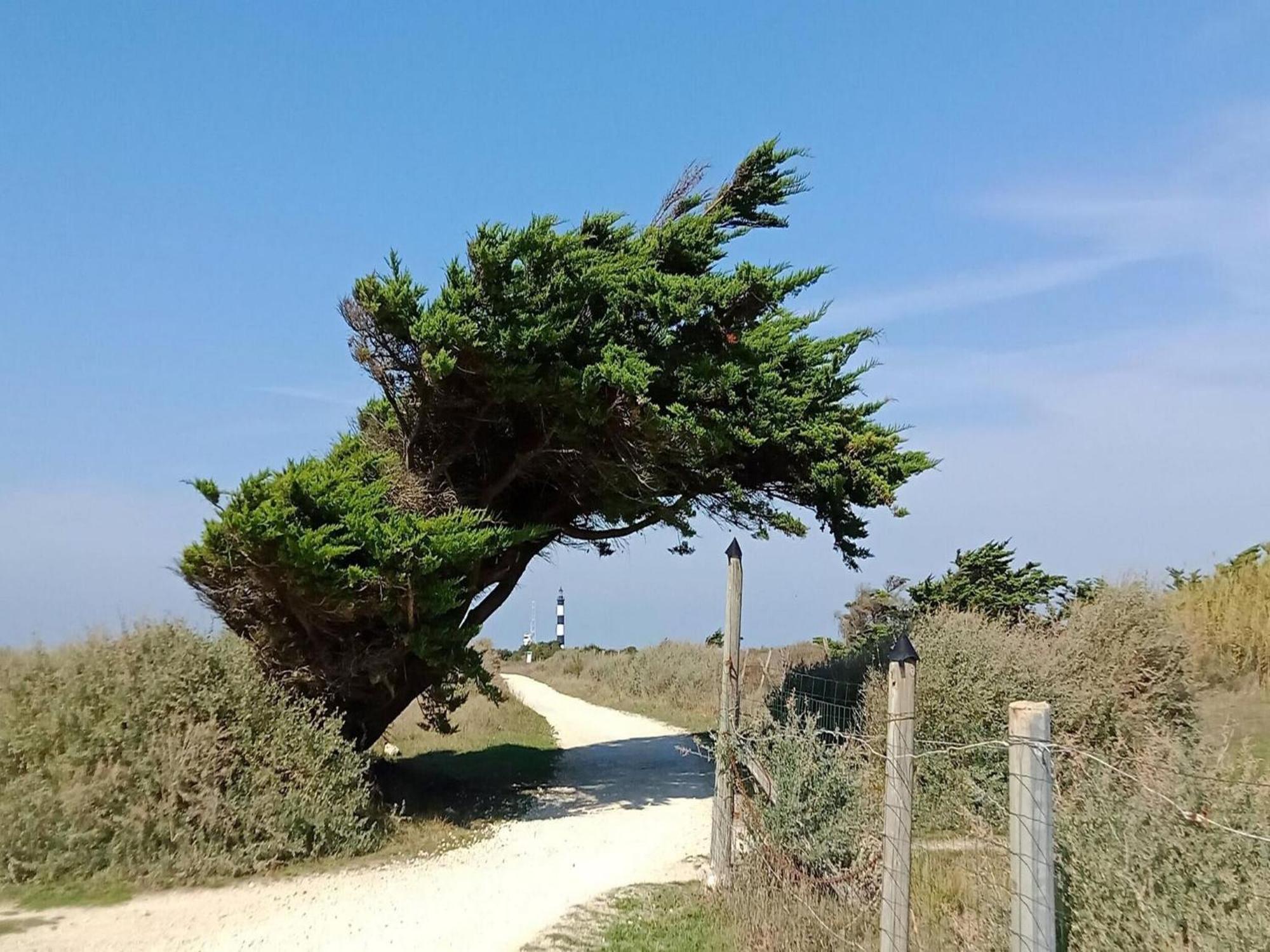 Les Hameaux Des Sables Vignie Saint Georges D Ol Ron Holiday Home Not Detached Exterior photo